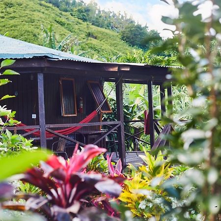Hibiscus Valley Inn Marigot Kültér fotó