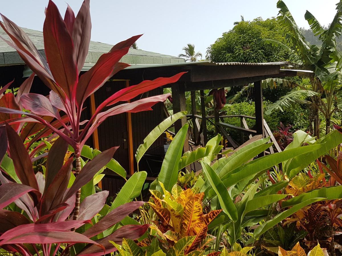 Hibiscus Valley Inn Marigot Kültér fotó