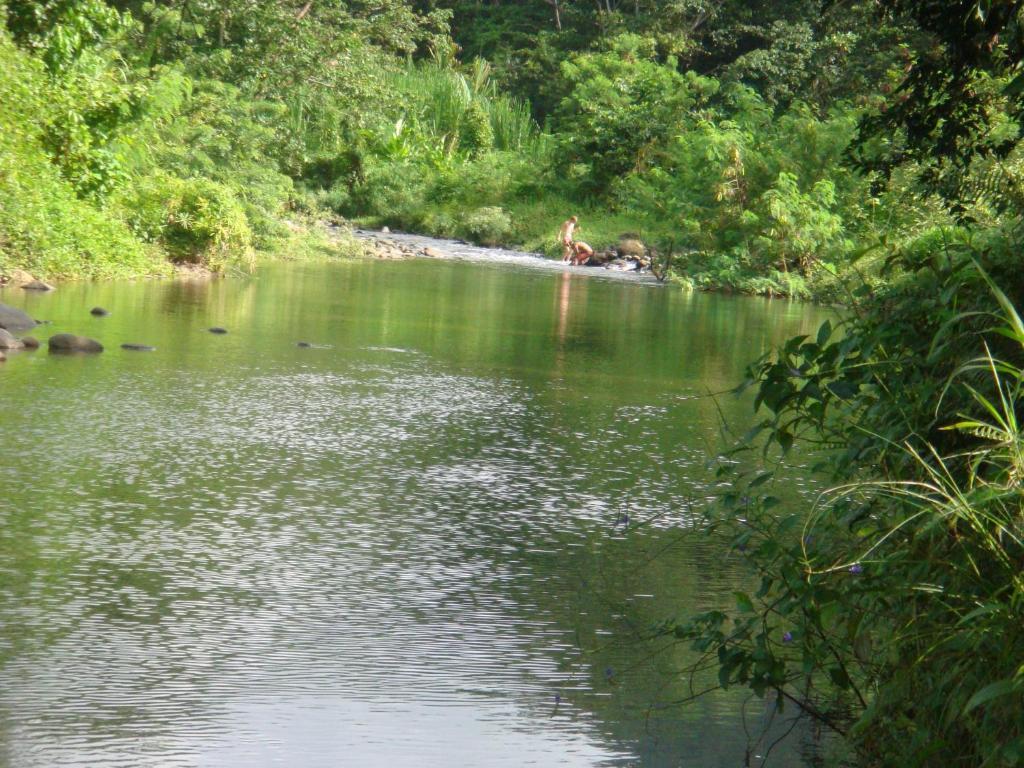Hibiscus Valley Inn Marigot Szoba fotó
