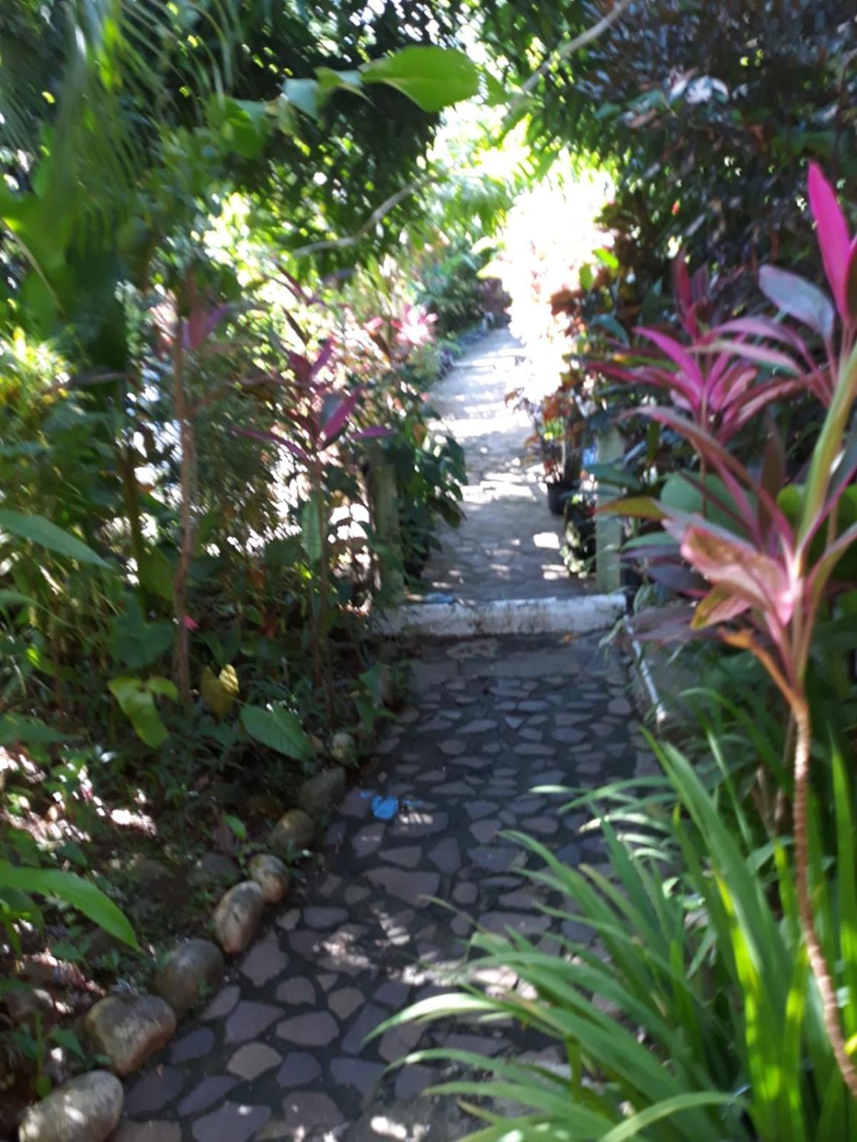 Hibiscus Valley Inn Marigot Kültér fotó