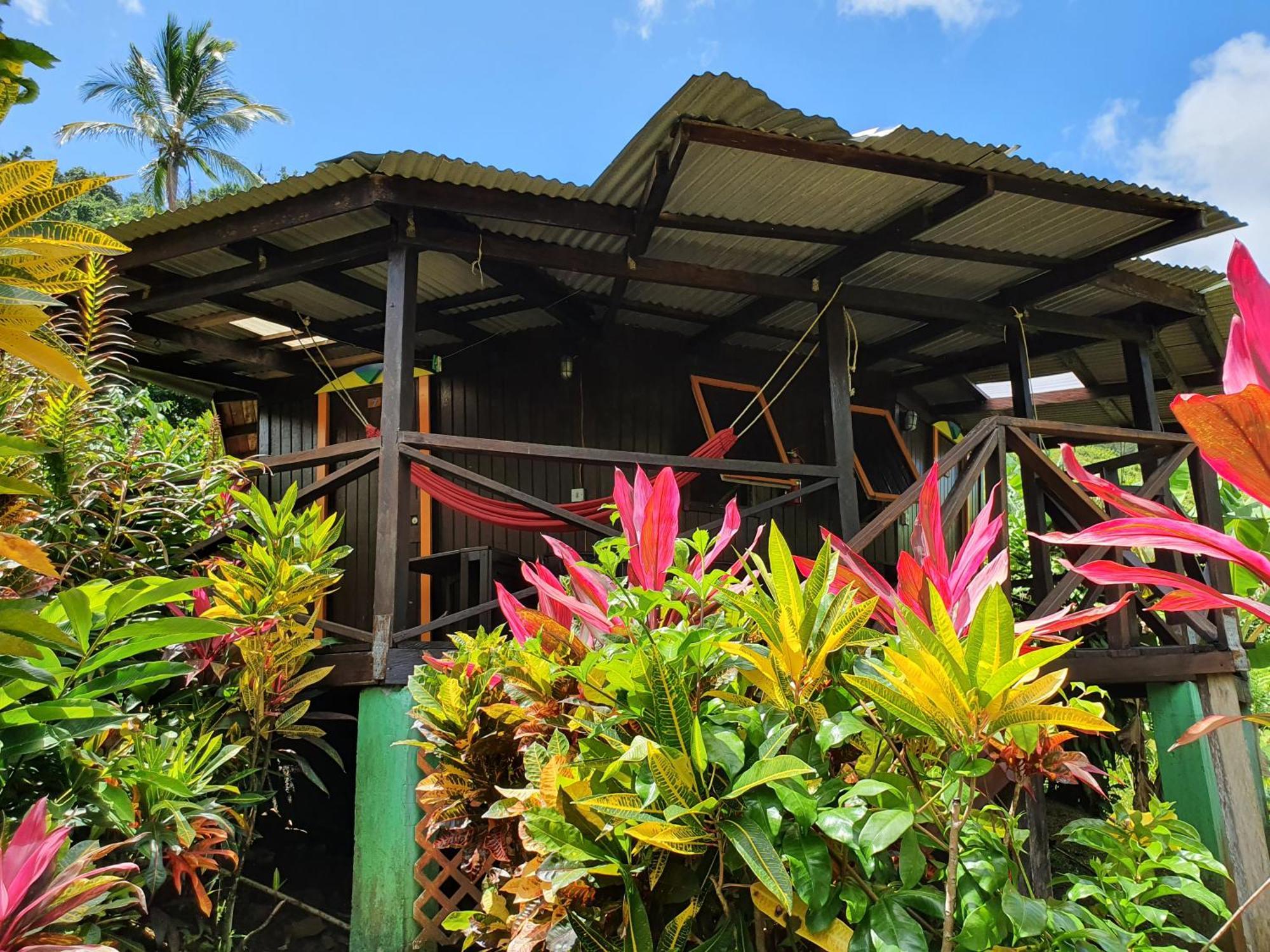 Hibiscus Valley Inn Marigot Kültér fotó