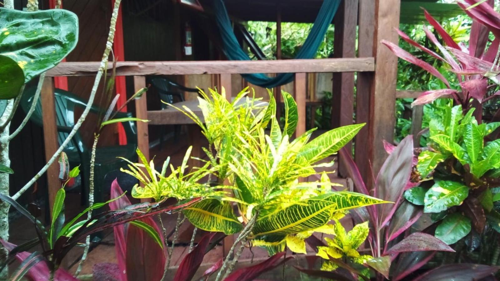 Hibiscus Valley Inn Marigot Kültér fotó