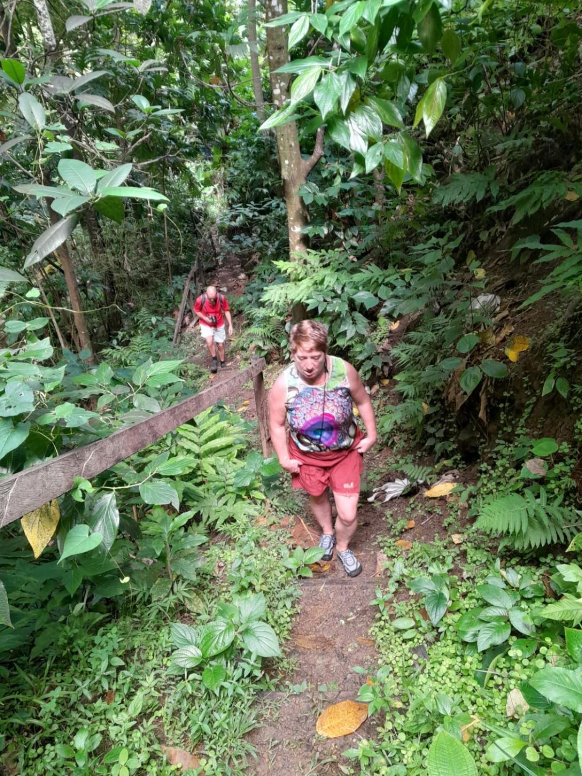Hibiscus Valley Inn Marigot Kültér fotó