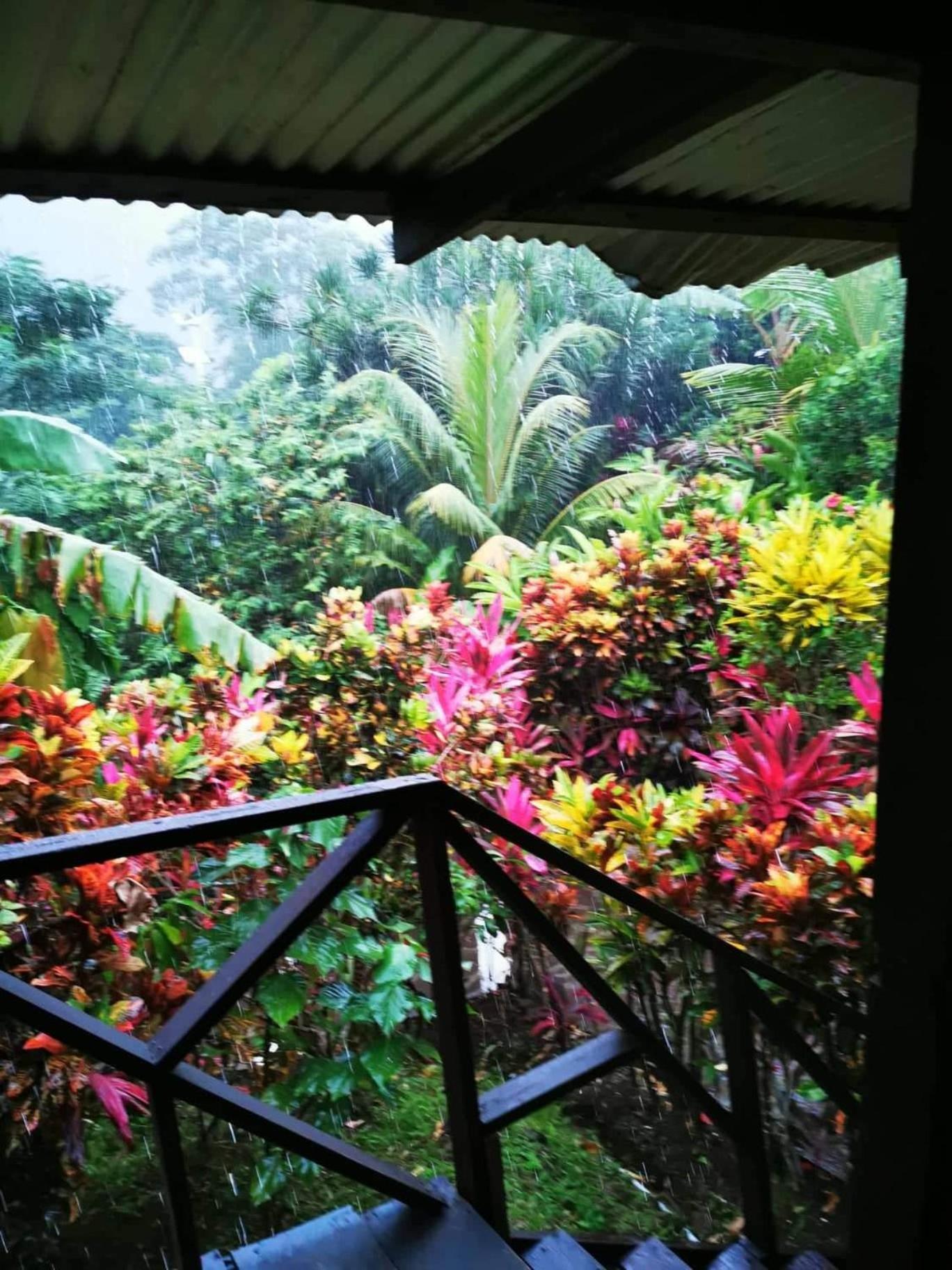 Hibiscus Valley Inn Marigot Kültér fotó
