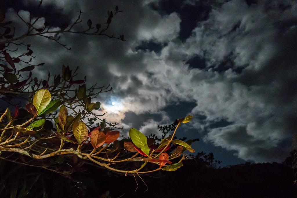 Hibiscus Valley Inn Marigot Kültér fotó