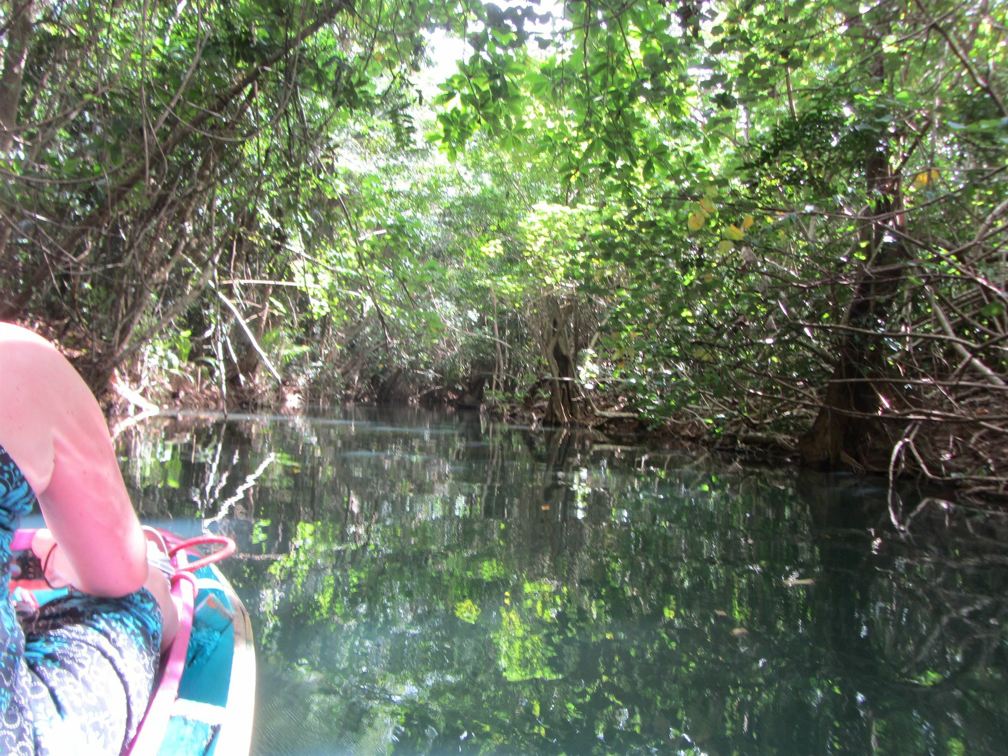 Hibiscus Valley Inn Marigot Kültér fotó