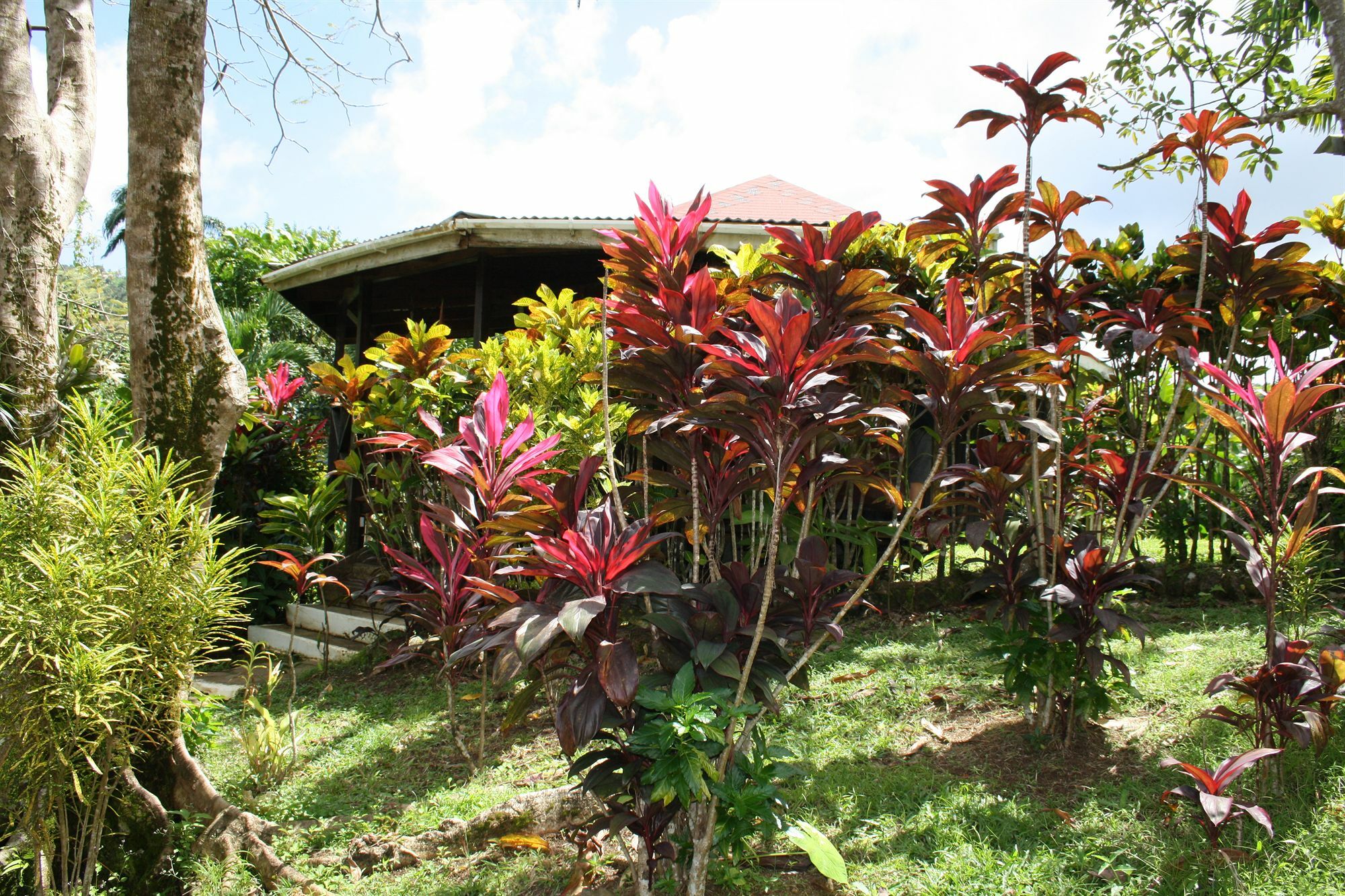 Hibiscus Valley Inn Marigot Kültér fotó