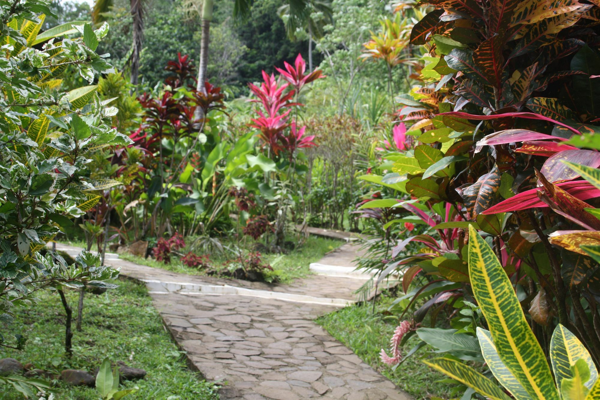 Hibiscus Valley Inn Marigot Kültér fotó